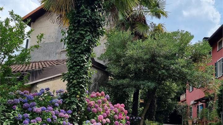 Cernobbio Appartamento grande in affitto